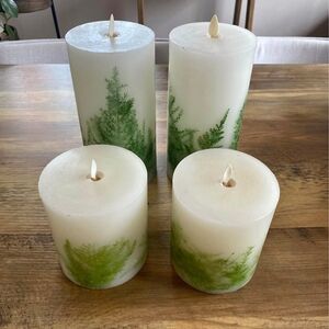 Pottery Barn 4 Premium Flameless Fern Inclusion Candles